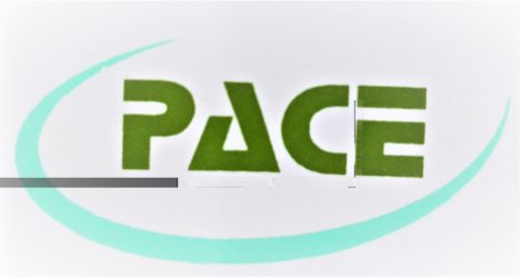 Pace Infosolutions Pvt Ltd